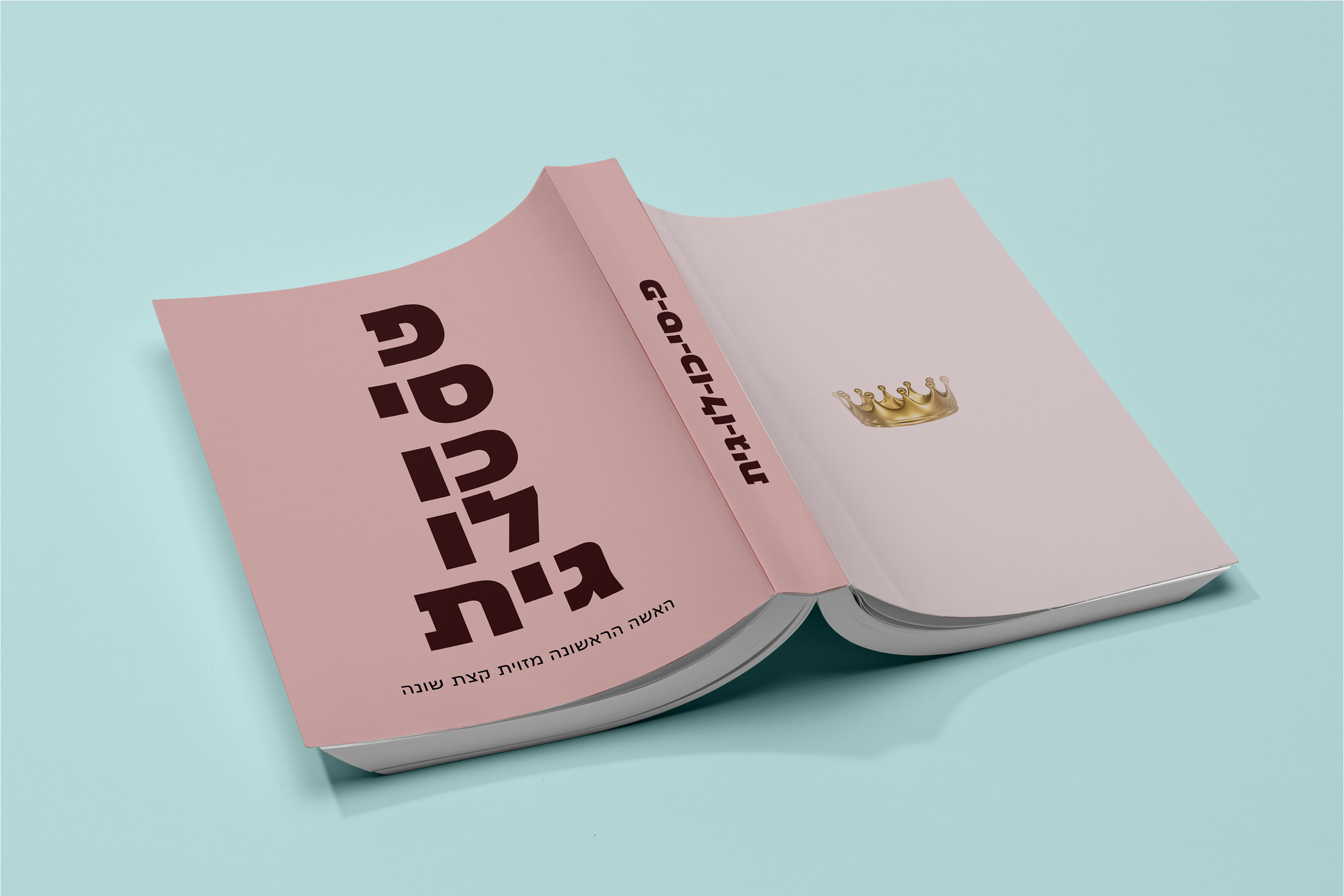 כריכה שרה נתניהו.jpg