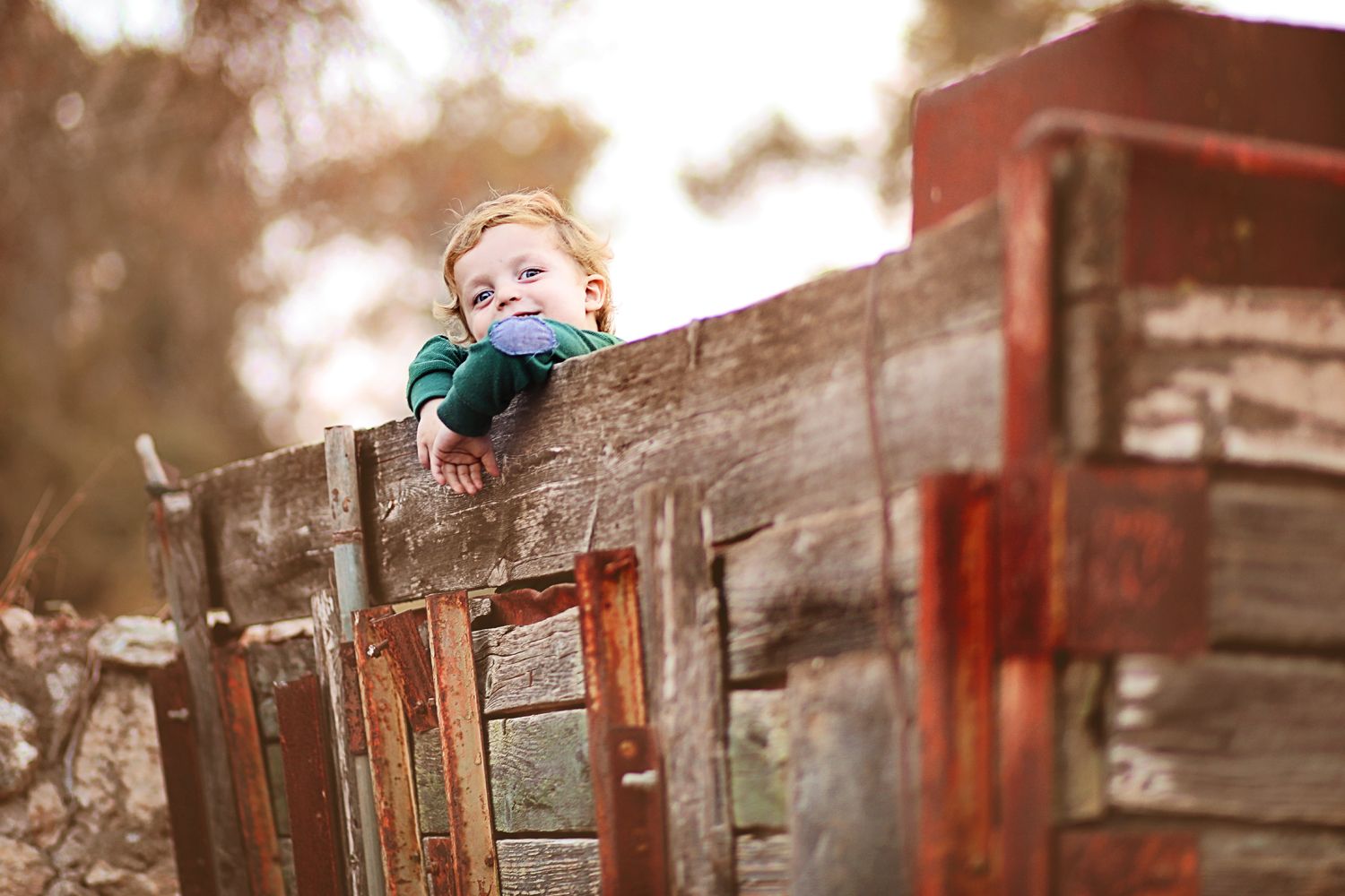 כרכרה קטן.jpg
