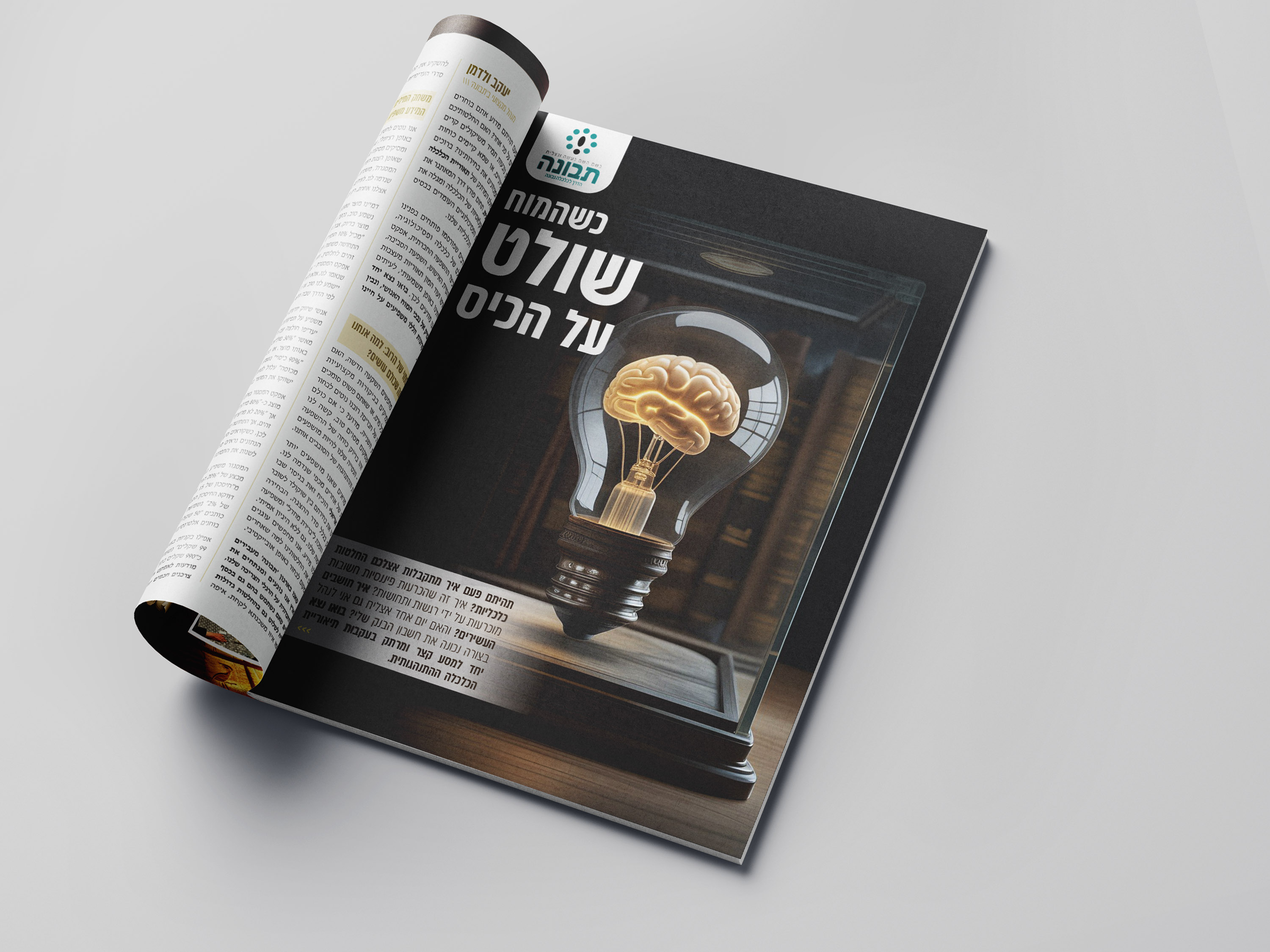 כתבה תבונה הדמיה.jpg