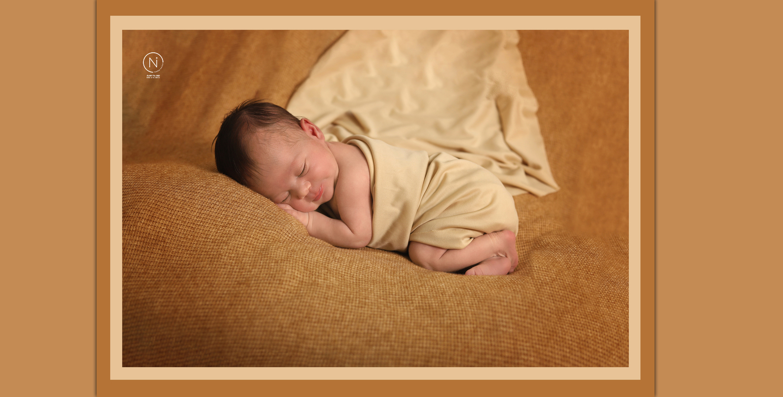 כתום בטן_1600x812.jpg