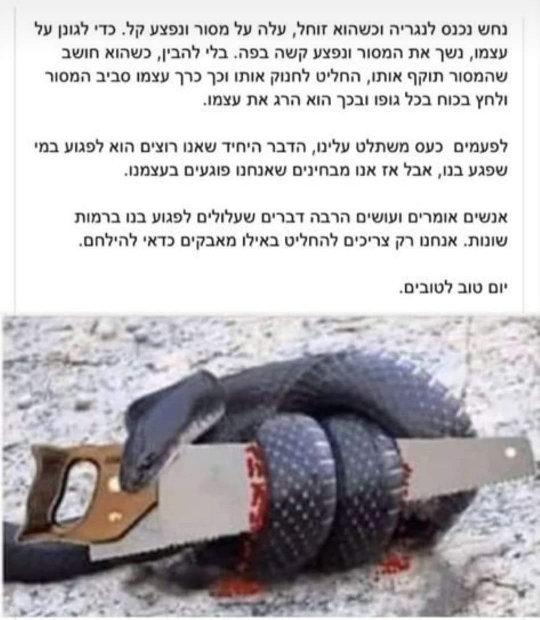 -לא-לפגוע-בעצמנו.jpg