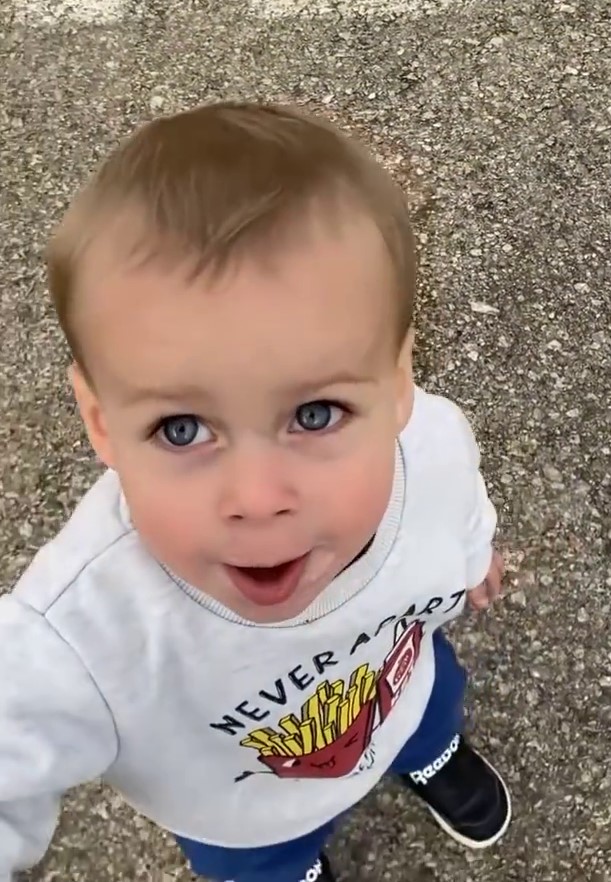 לביא מסתכל על המצלמה.jpg