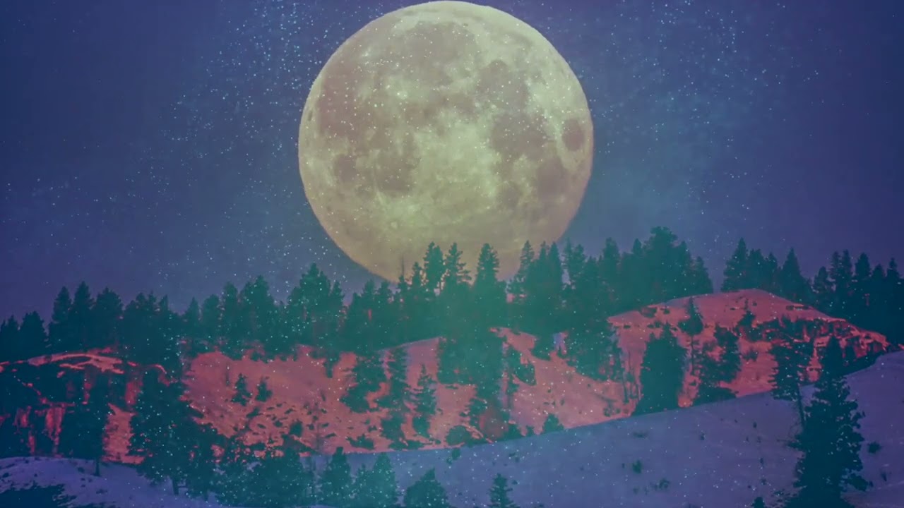 להקת גור אריה - ידיד השם.jpg