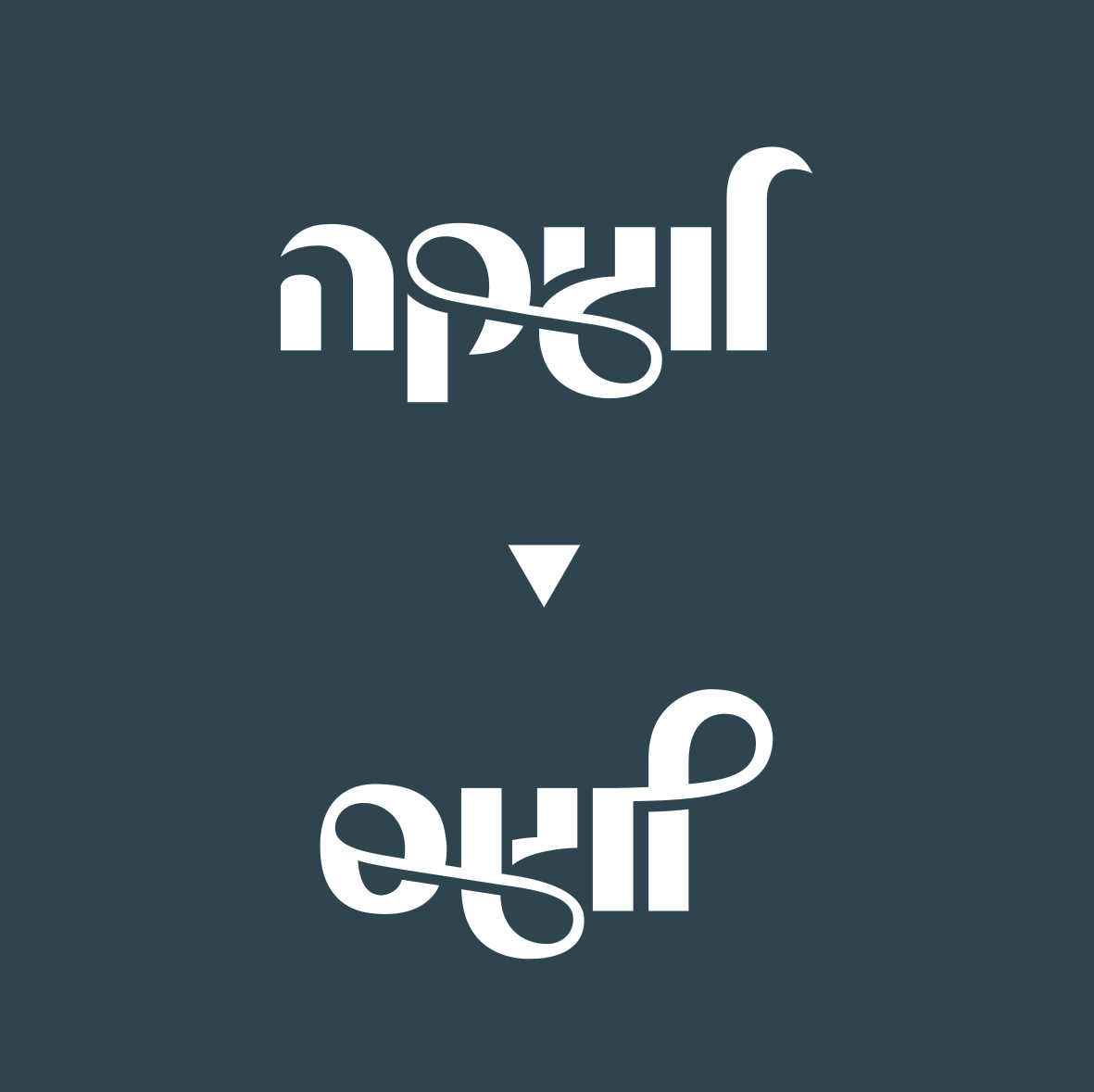 לוגוס - לפני ואחרי.png