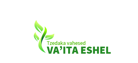 לוגו אנגלית.png