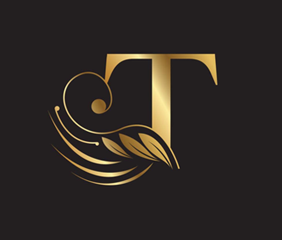 לוגו טאצ ישן.jpg