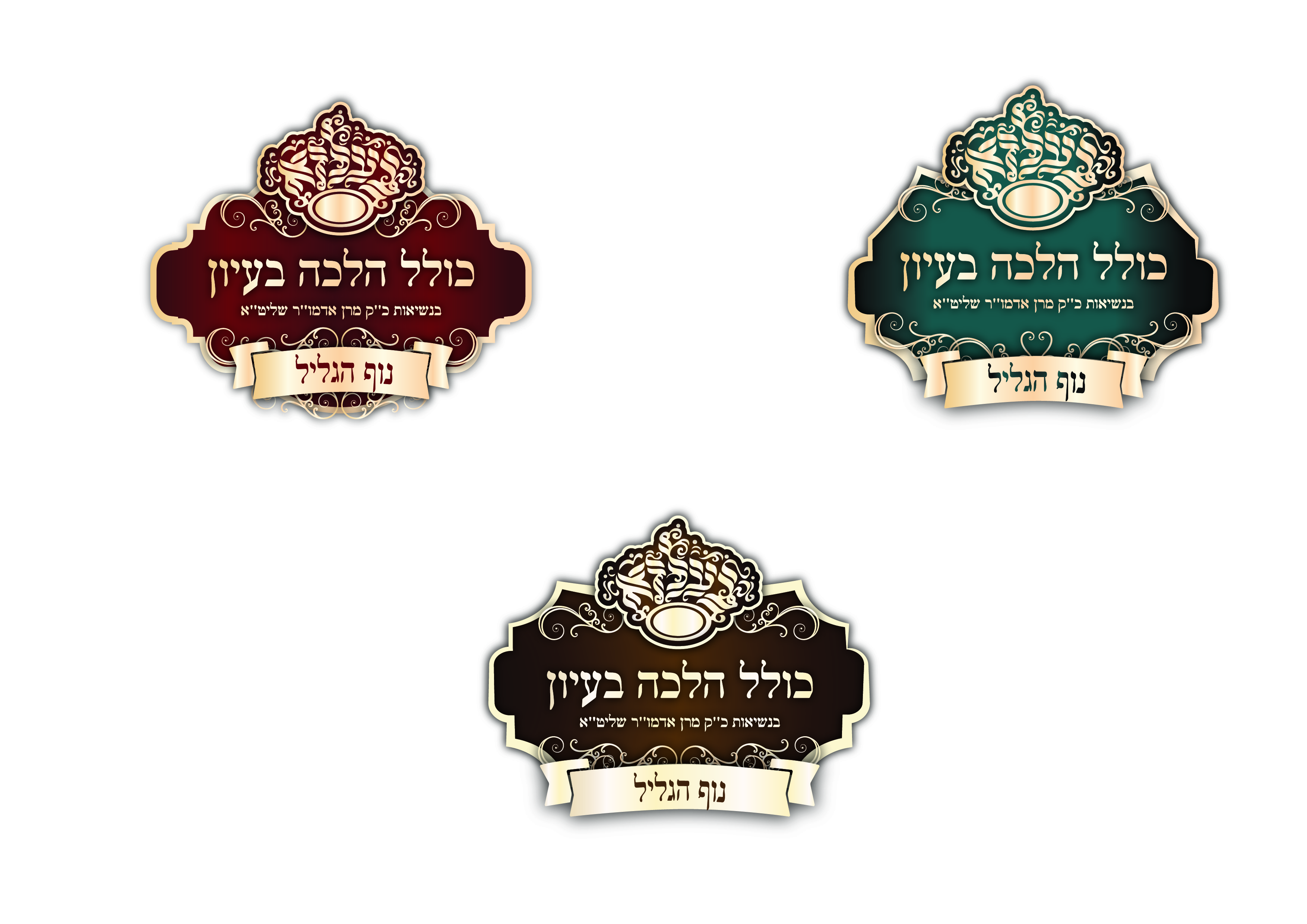 לוגו כולל.jpg