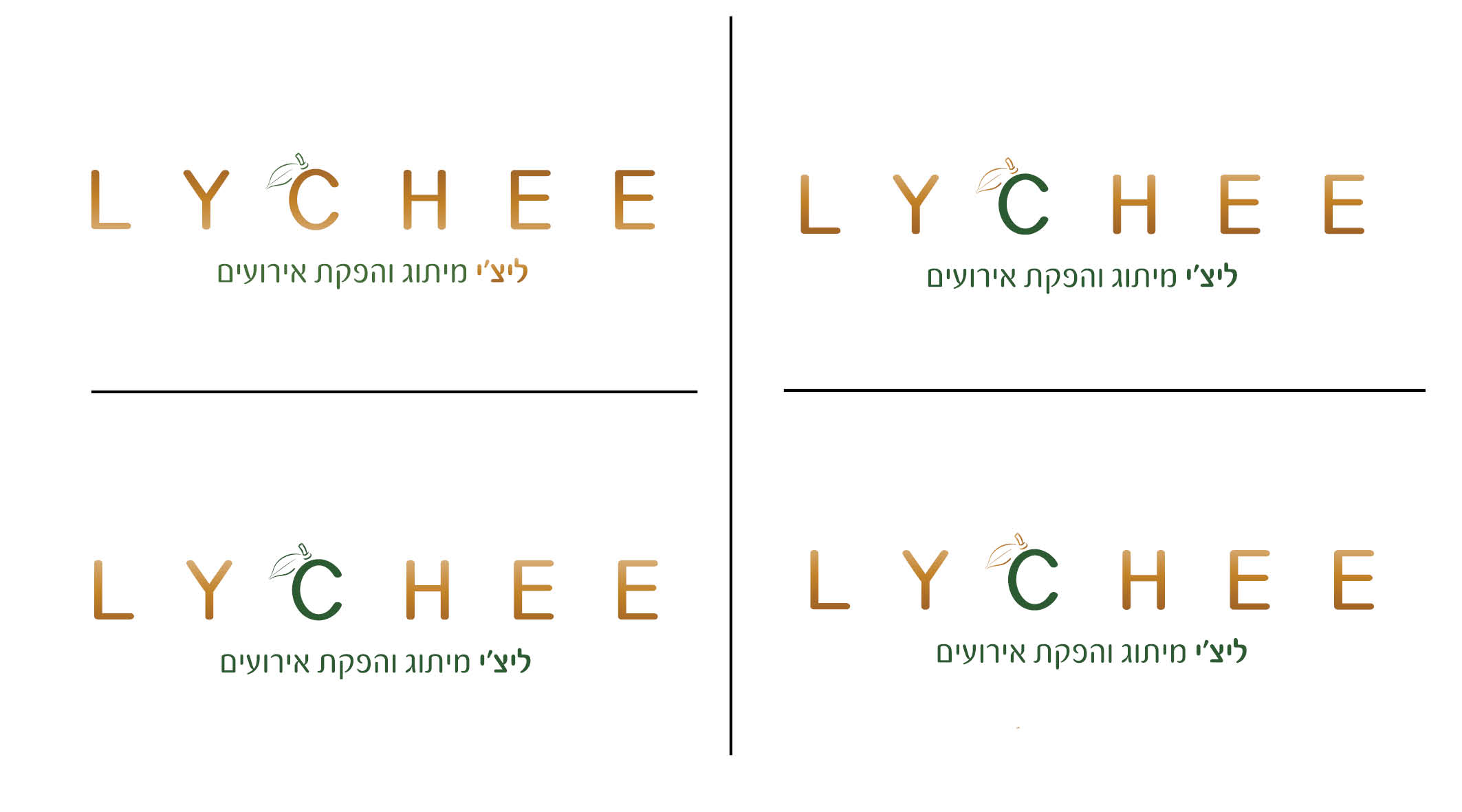 לוגו משודרג לבחירה מתוך 4.jpg