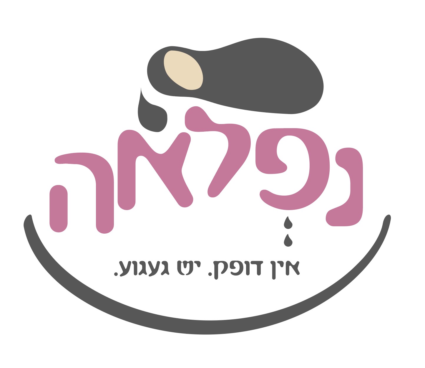 לוגו נפלאה.jpg