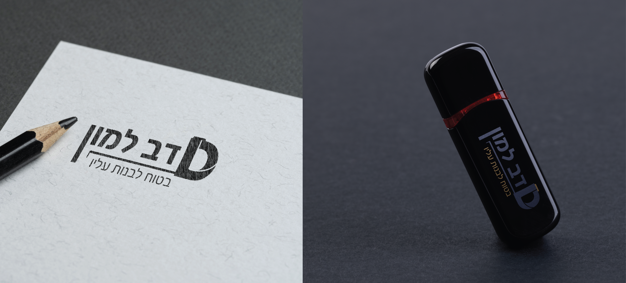 לוגו סופי הדמייה 1.png