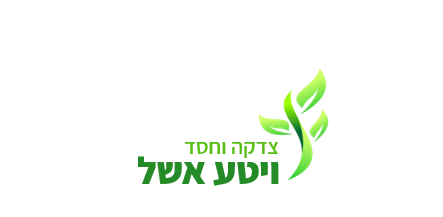 לוגו עברית.png