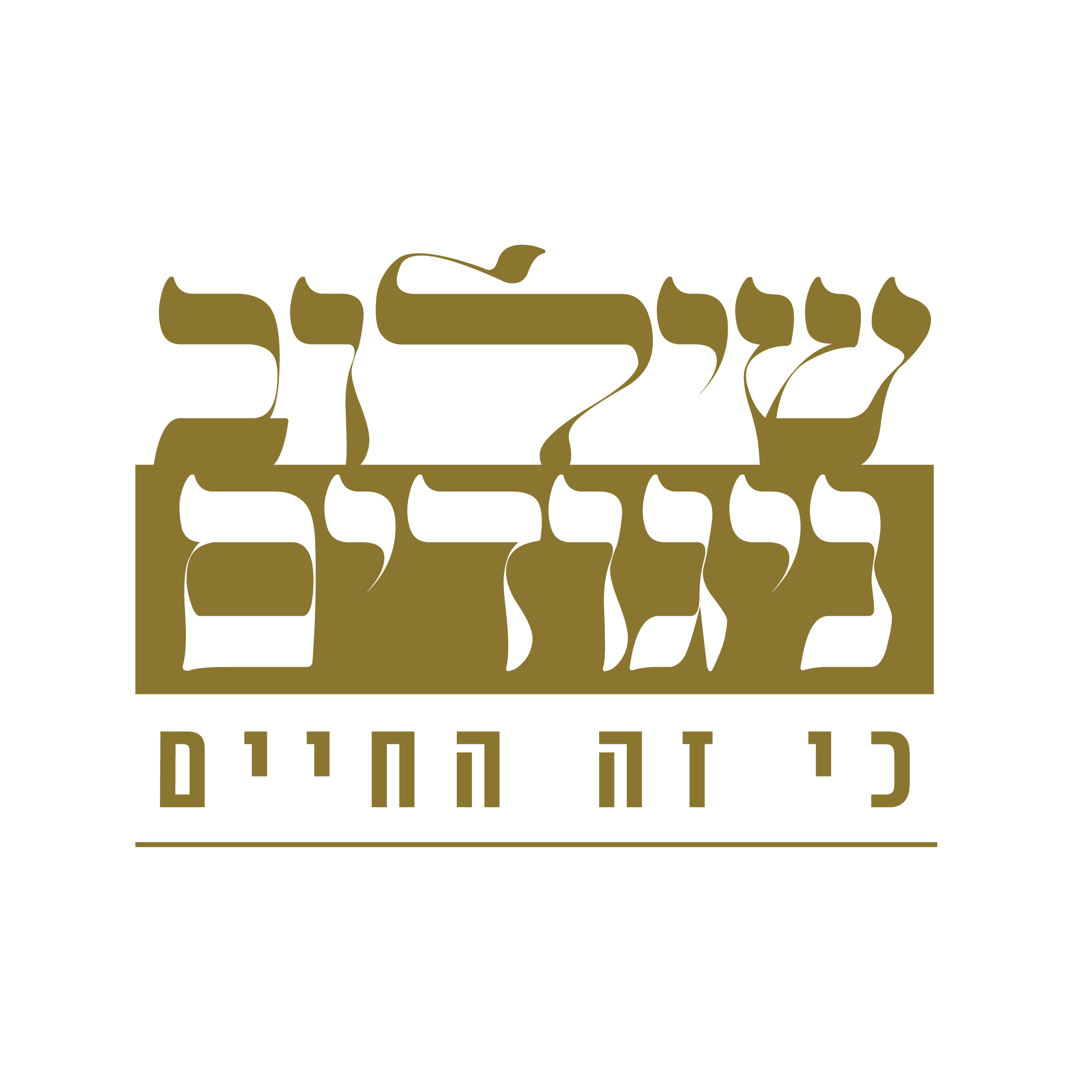 לוגו שילוב ניגודים (1).png