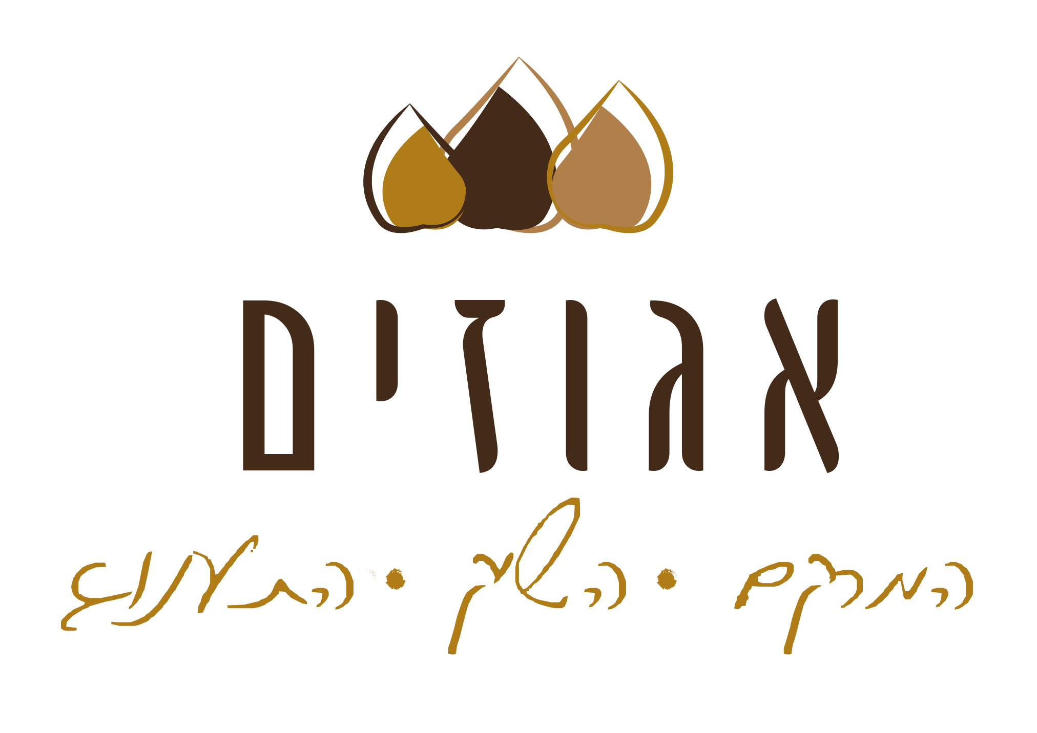 לוגו שקוף.png