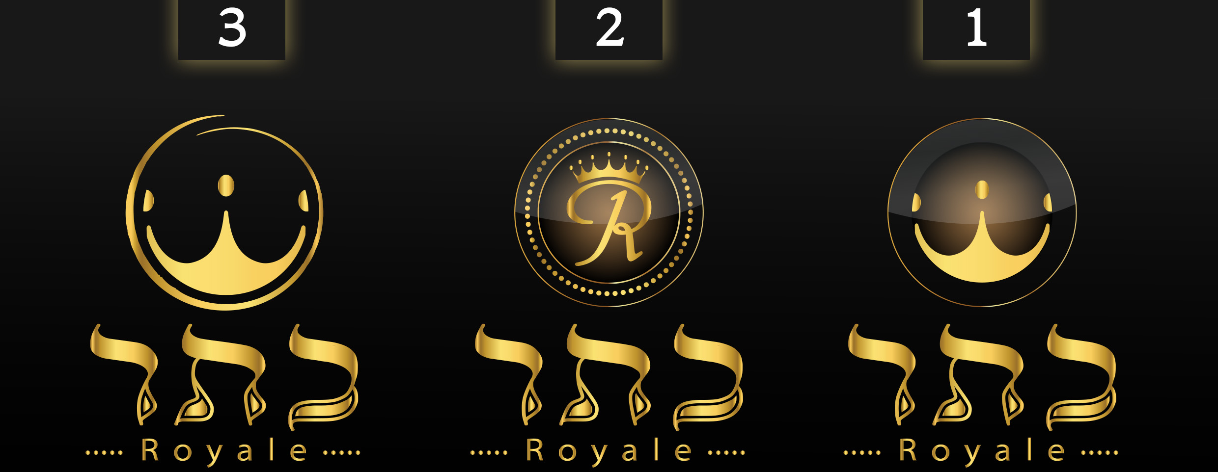 לוג בחירה.jpg