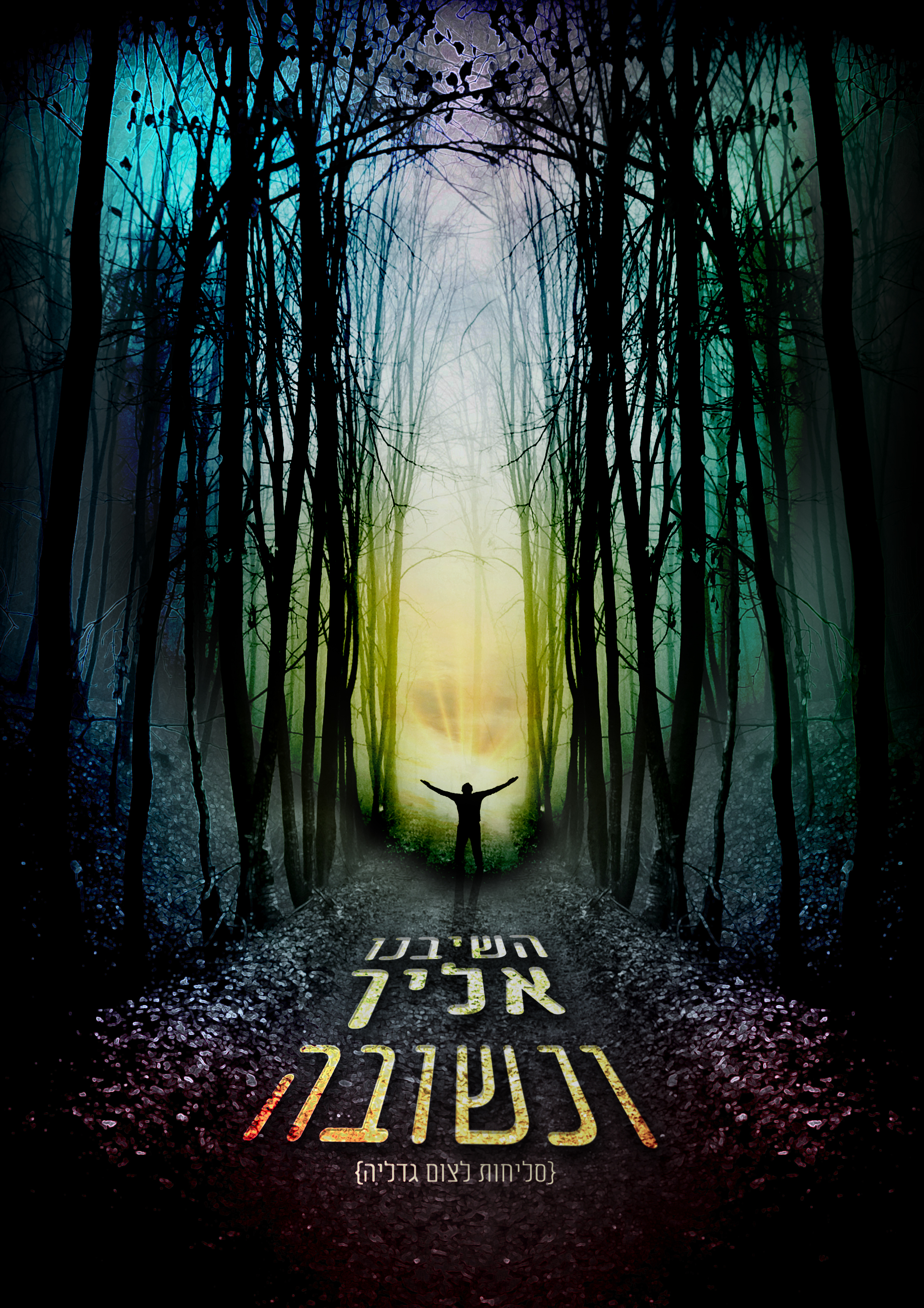 לוין חיים.jpg