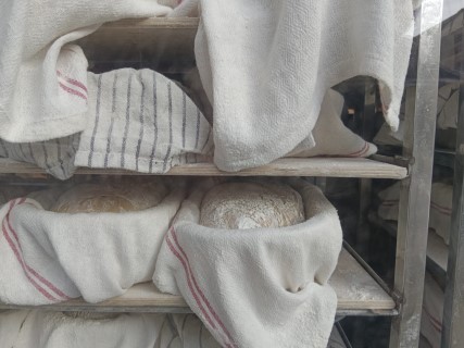 לחם (1) (Mobile).jpeg