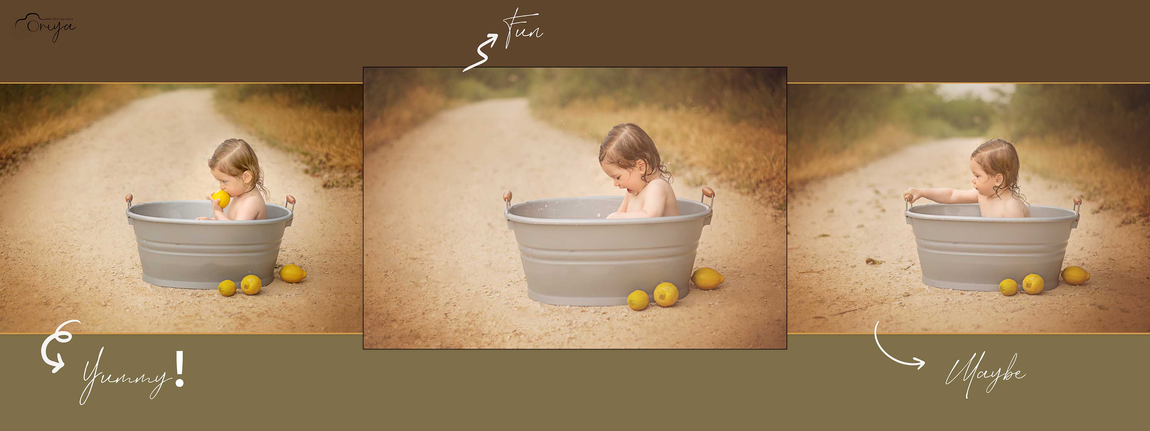 לימונים 3.jpg