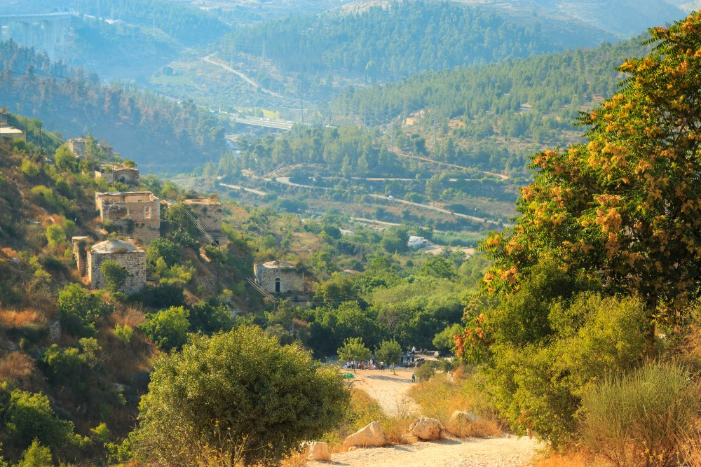 ליפתא 2017 - שושי סירקיס-4752.jpg