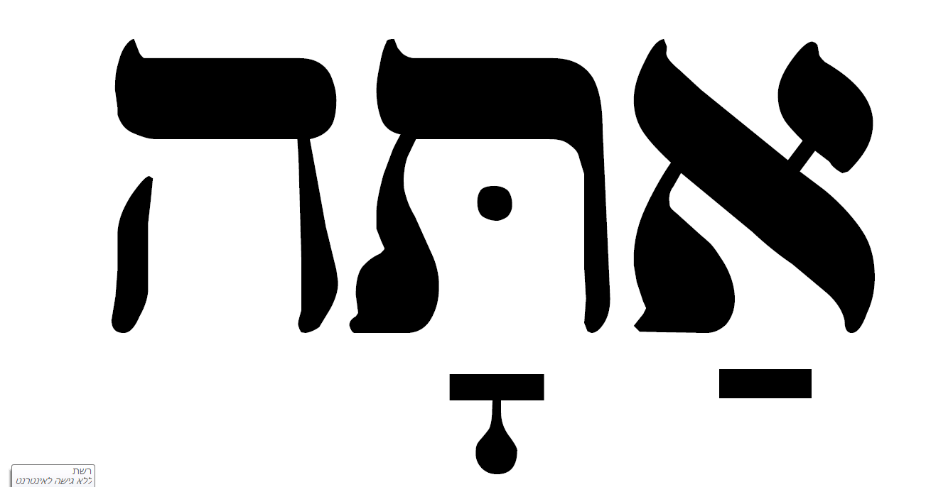 לכידה 2.PNG