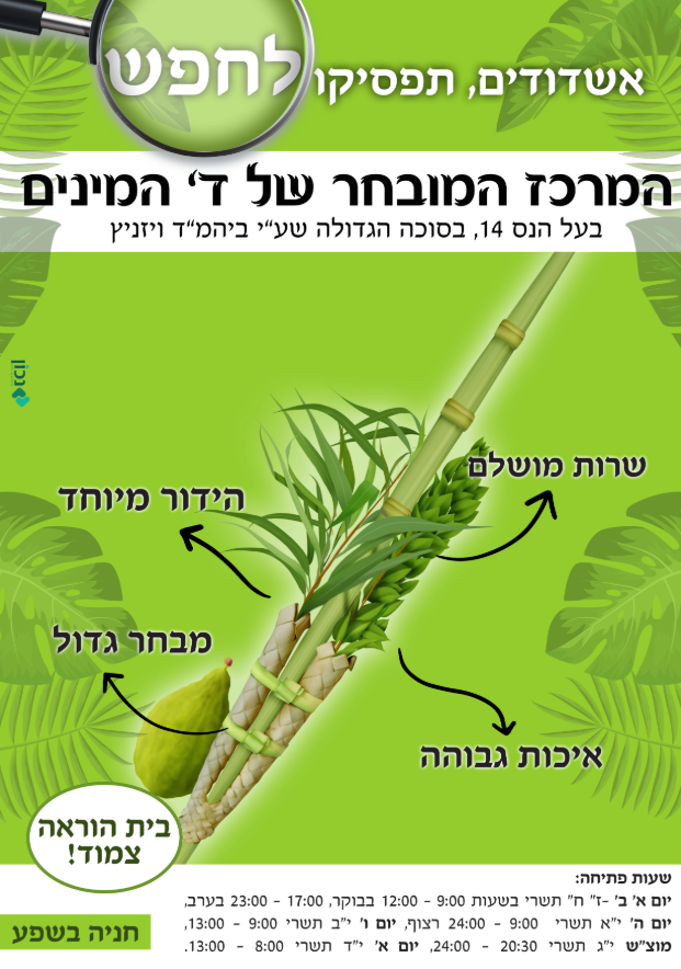 לכידה.PNG