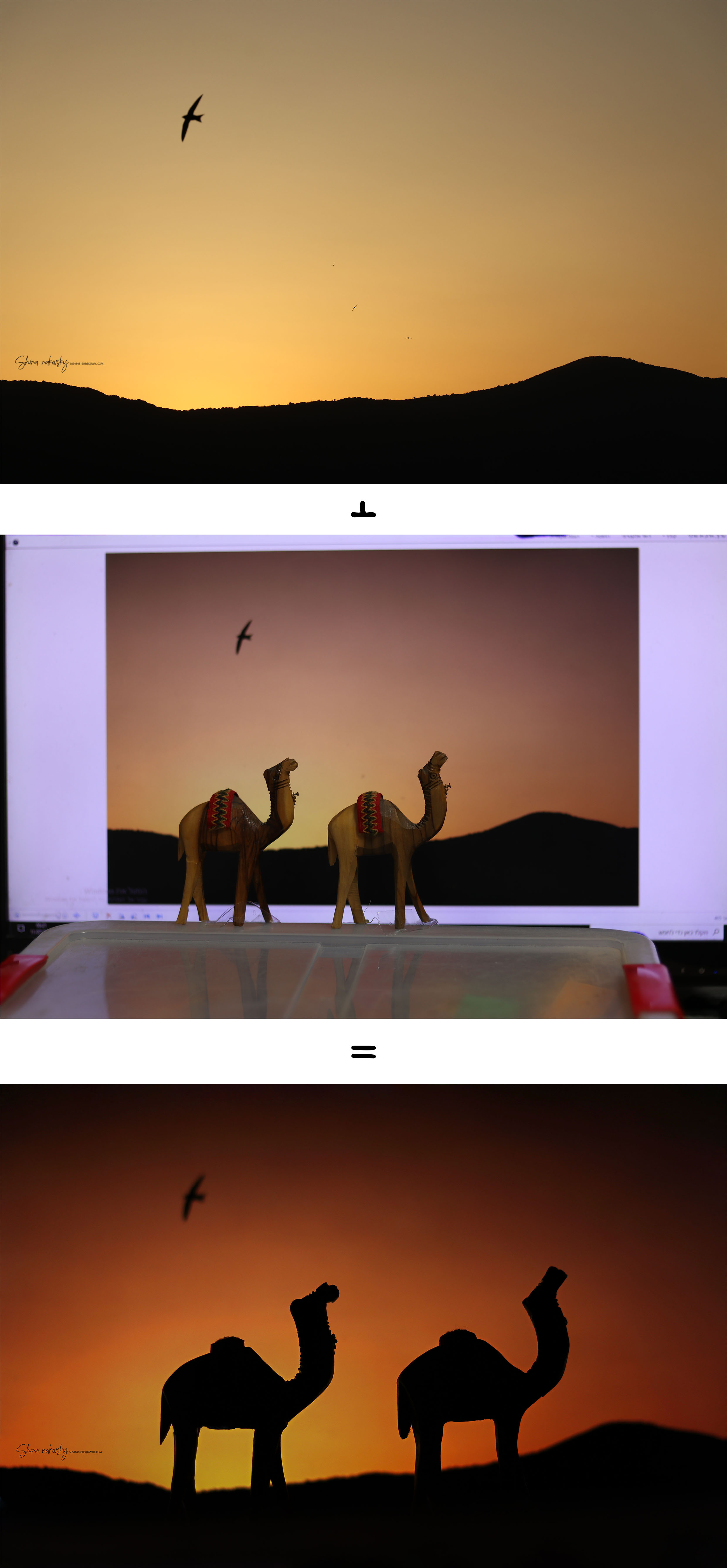 ללא כותרת - 1.jpg