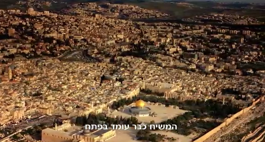 ללא שם (10).png