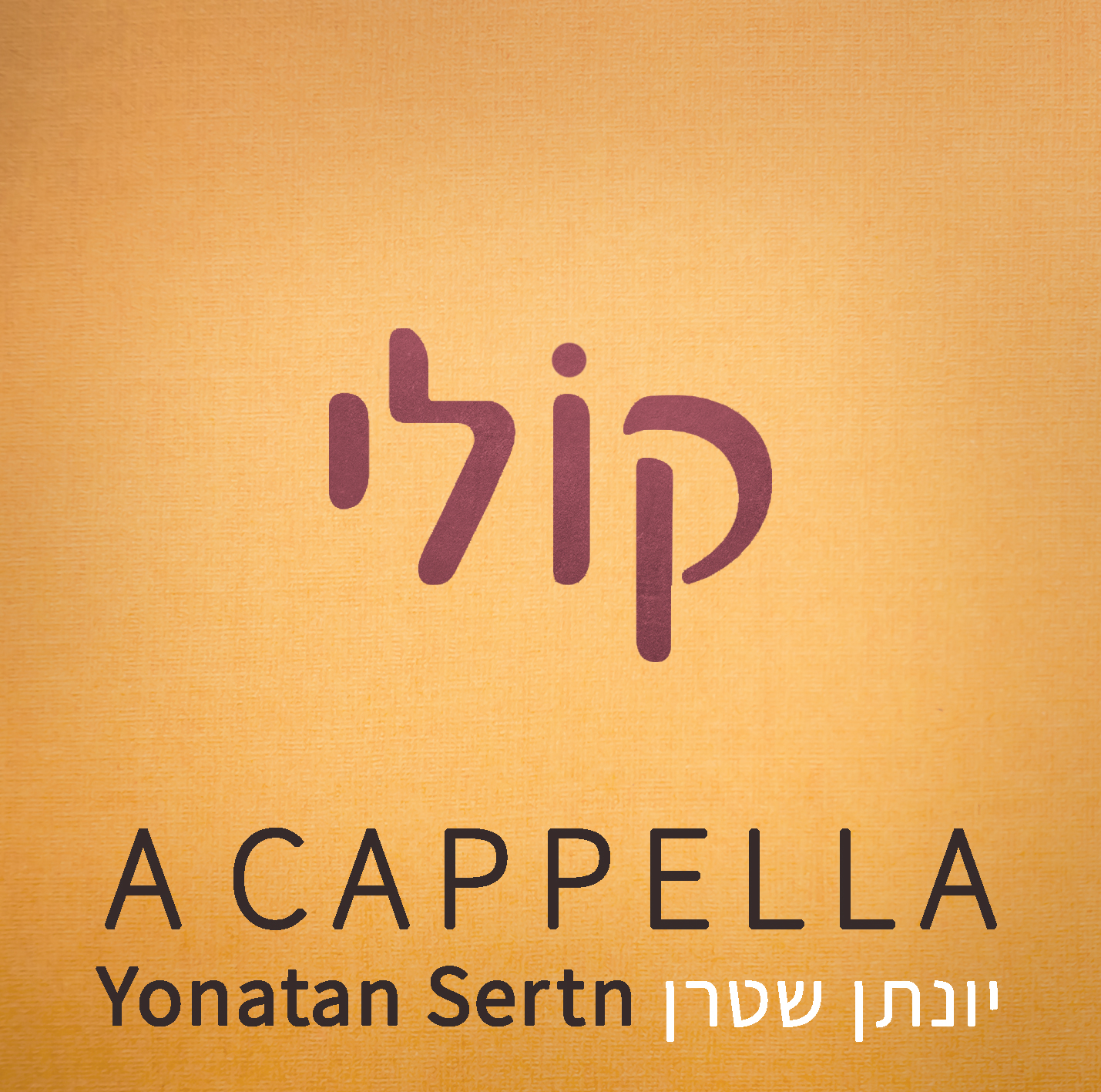 ללא תמונה.jpg