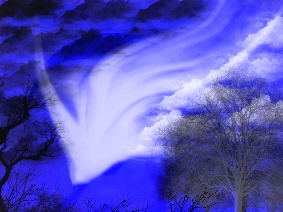 למסכי הנלבב רקע שונה.jpg