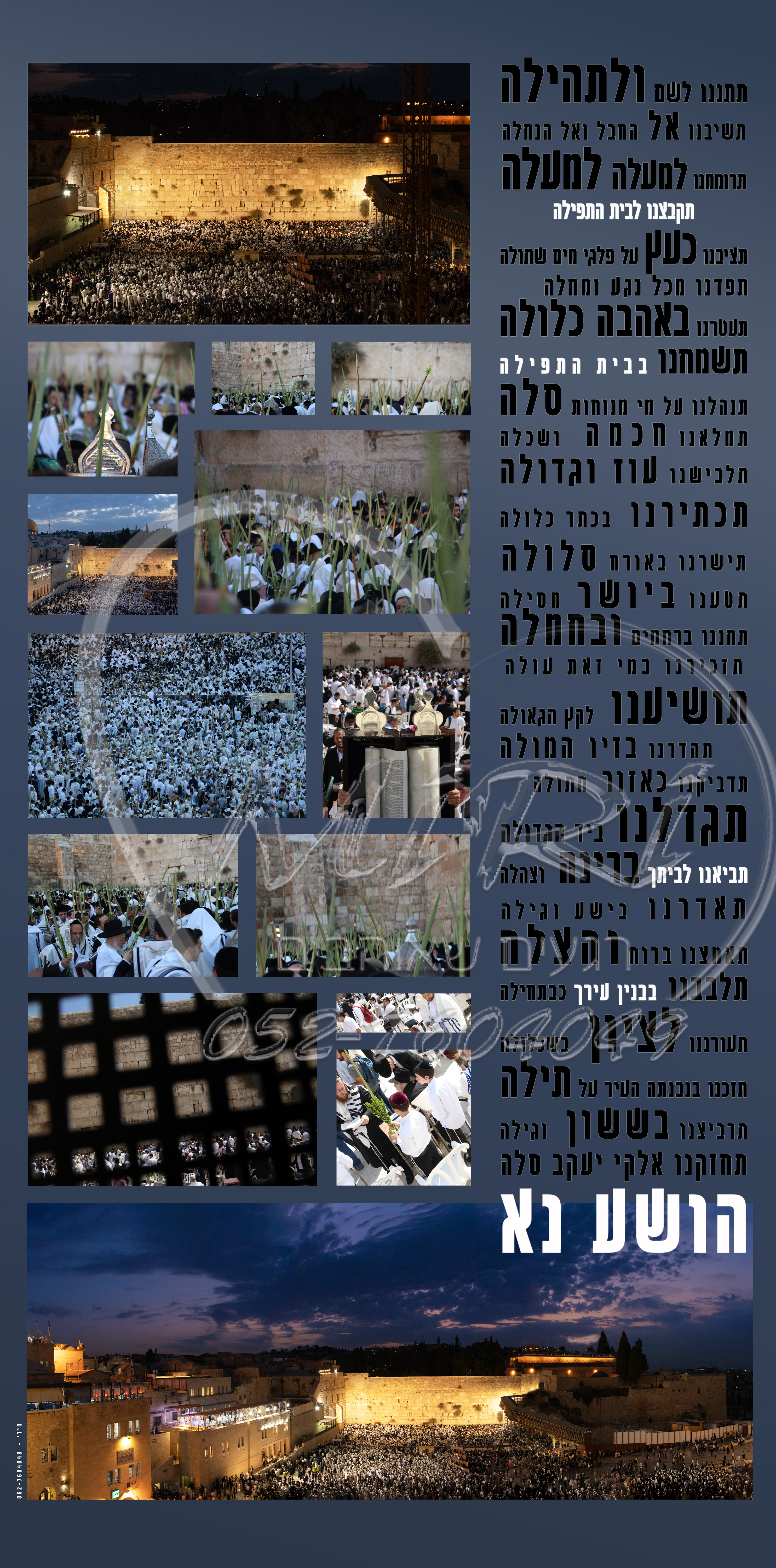 לסוכה עיצוב 3.jpg