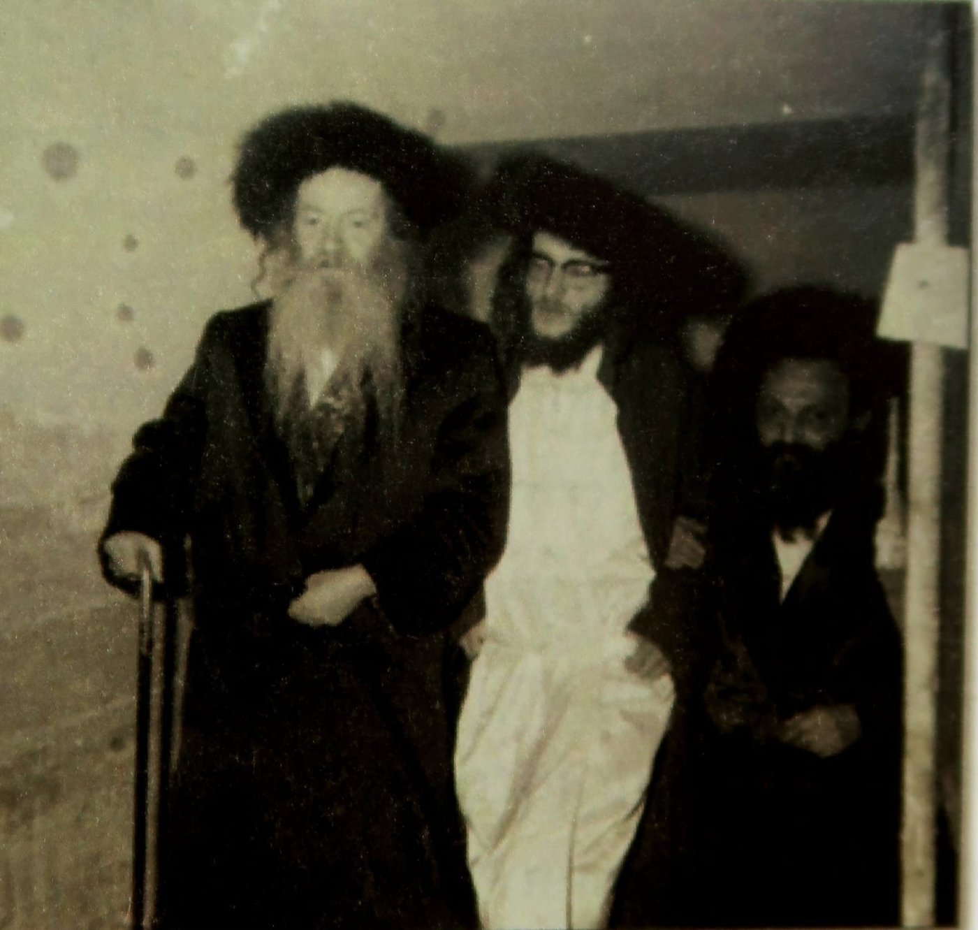 לעלוב בר אילן.jpg