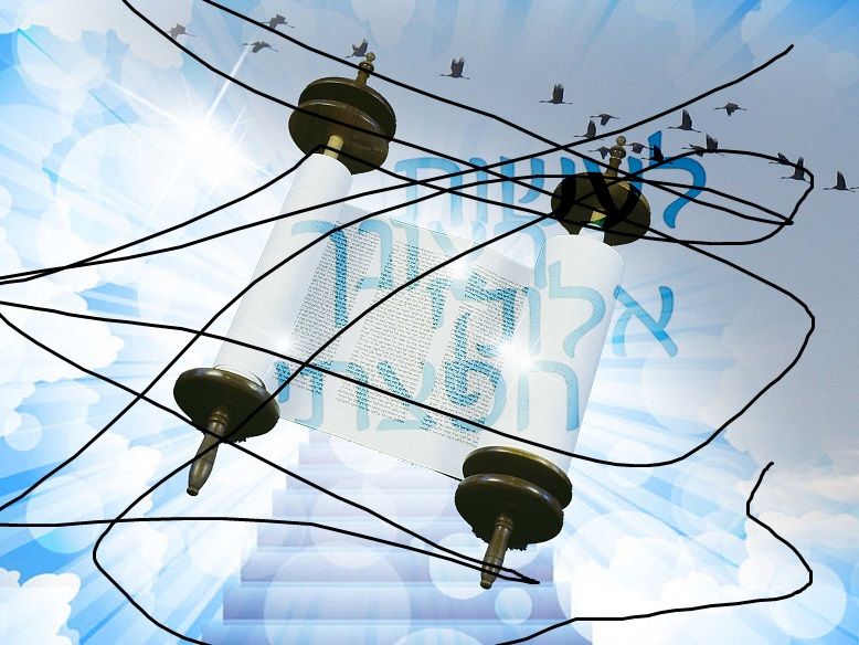 לעשות רצונך.jpg