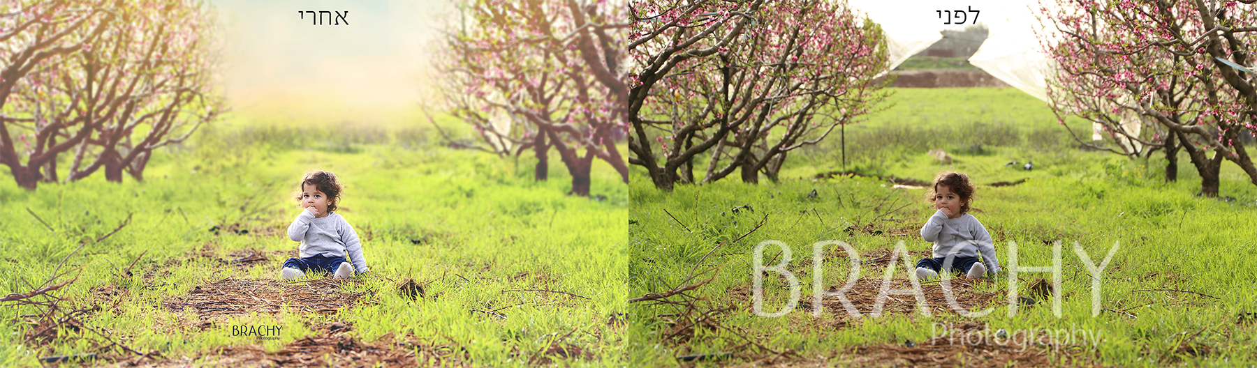 לפני אחרי.png