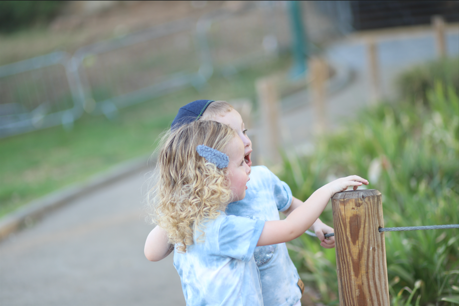 לפני סידור קומפוזיציה והעלמת פרטים.png