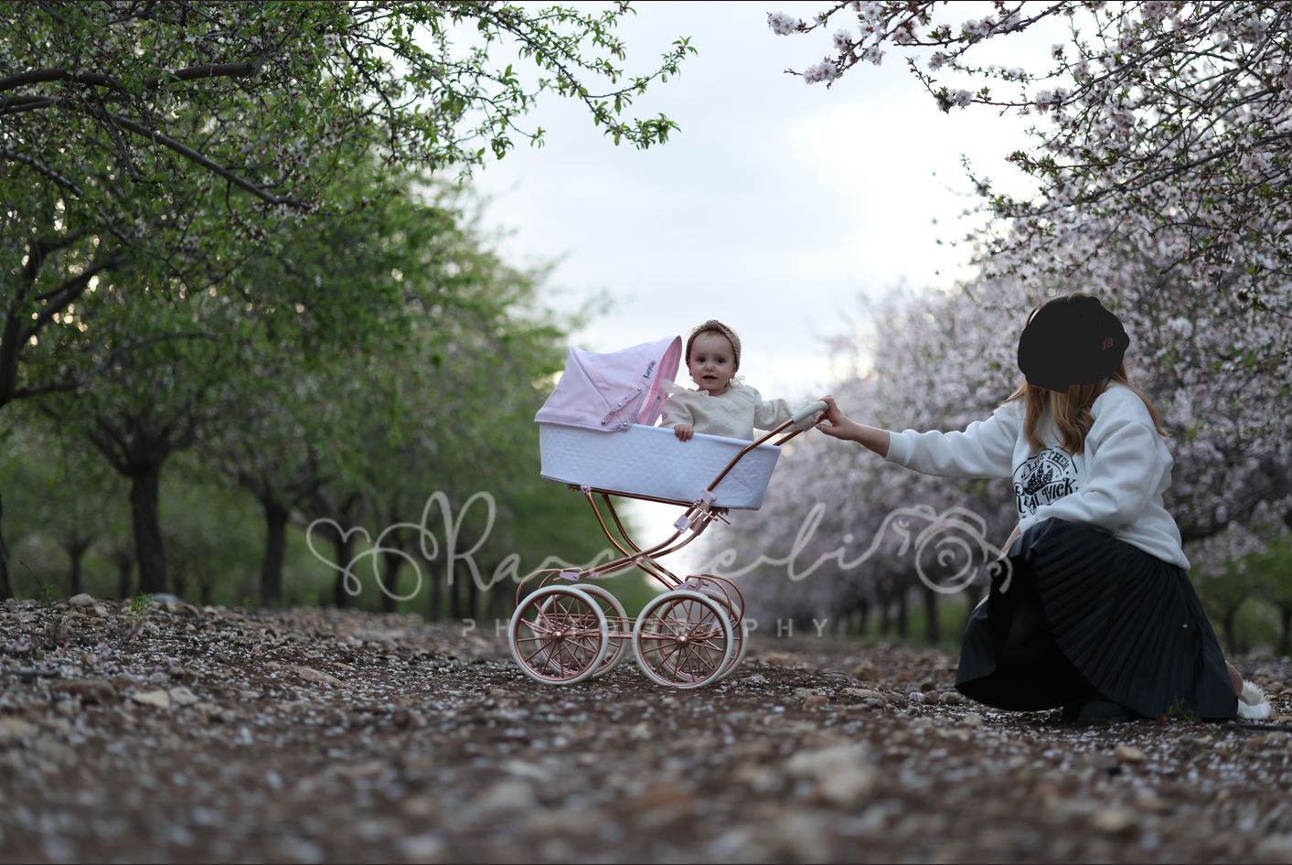 לפני שקדיות.png