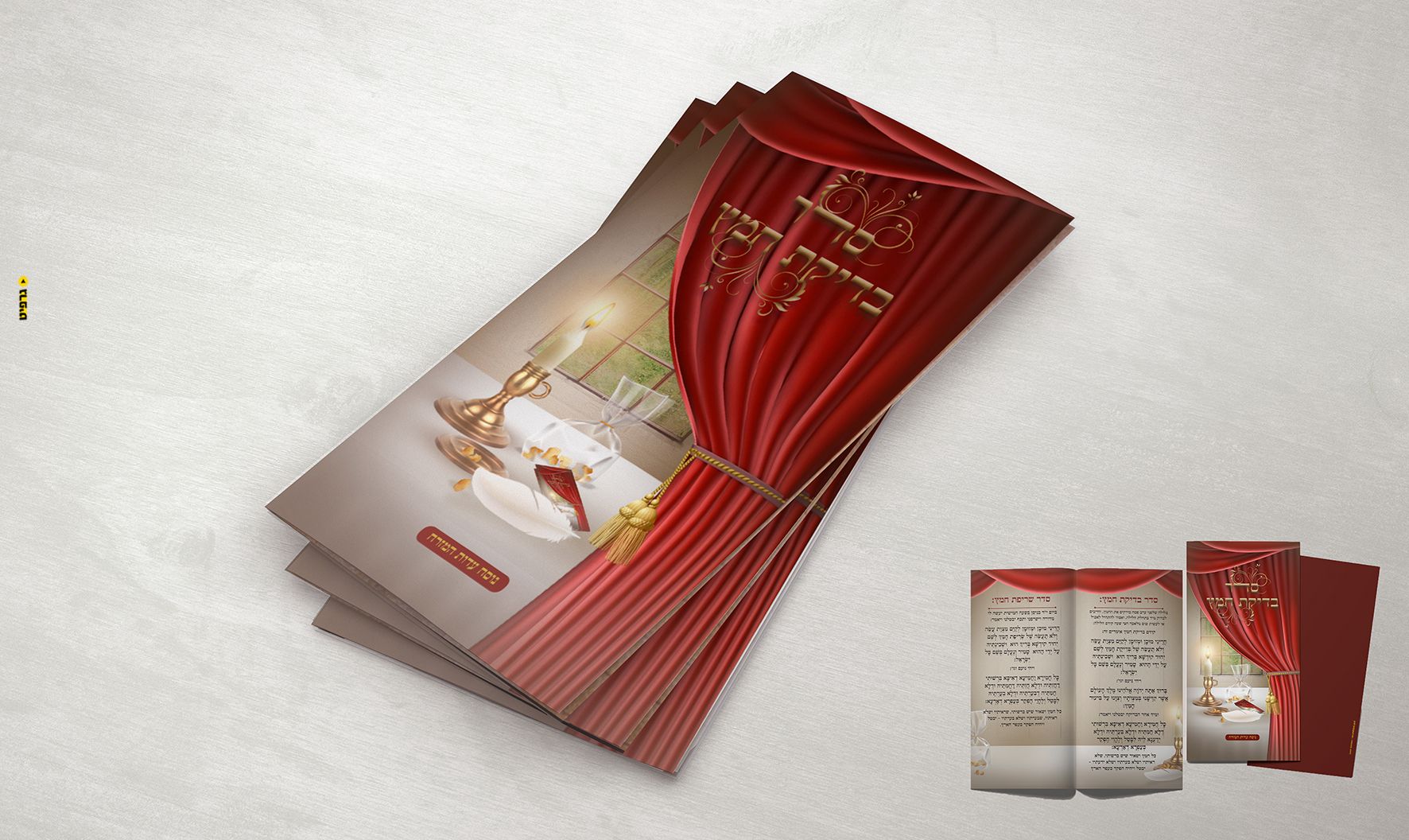 לפרוג בדיקת חמץ 001.jpg