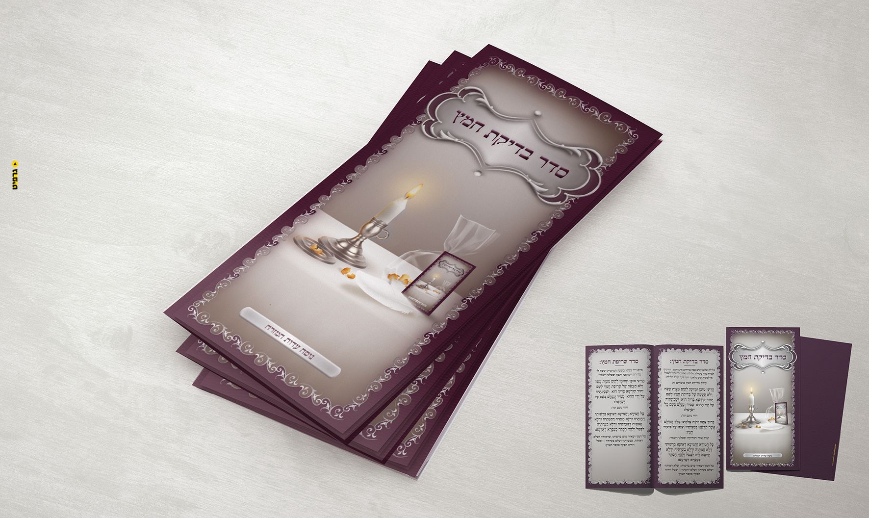 לפרוג בדיקת חמץ 002.jpg