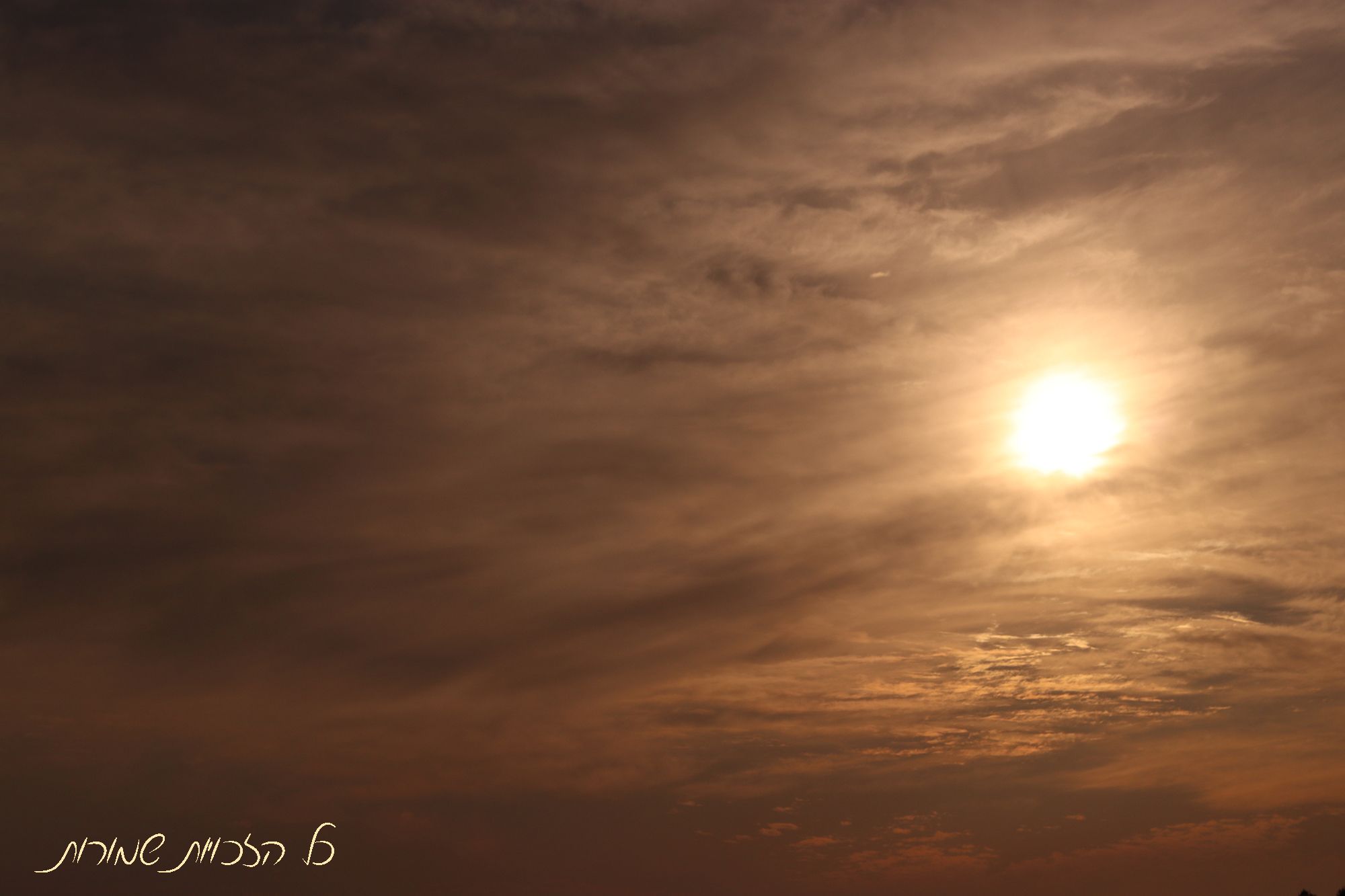 לפרוג מוקטן 2.jpg