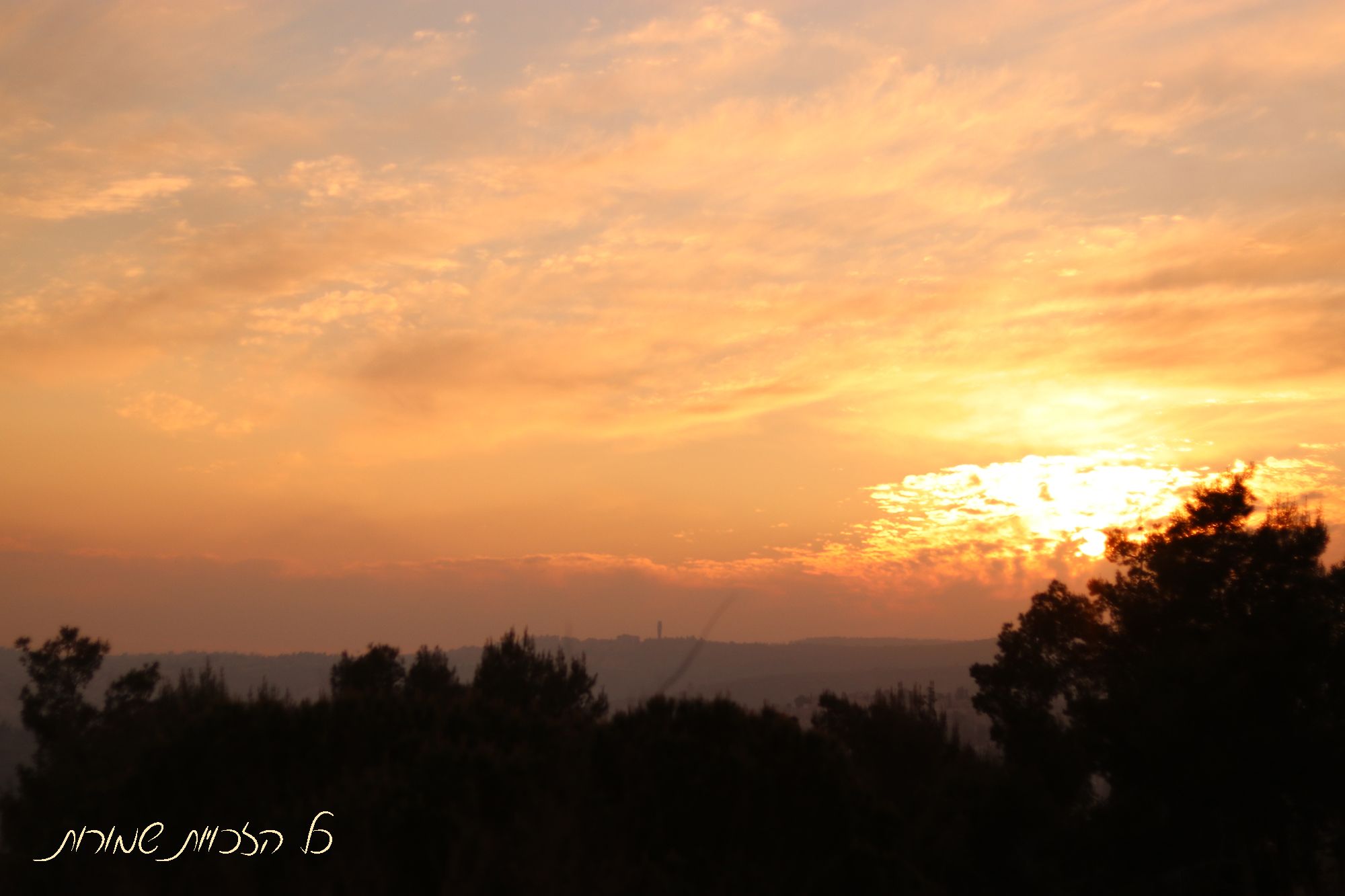 לפרוג מוקטן 3.jpg