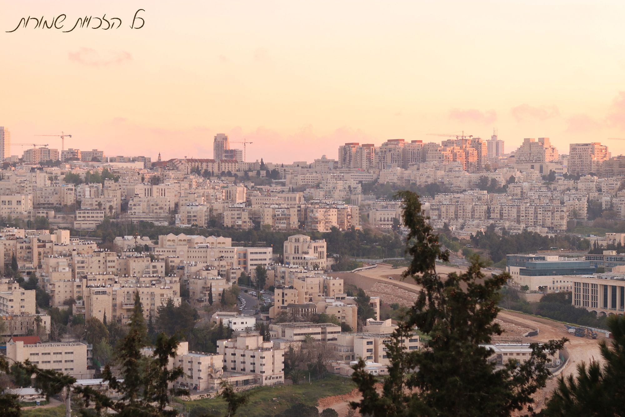 לפרוג מוקטן.jpg