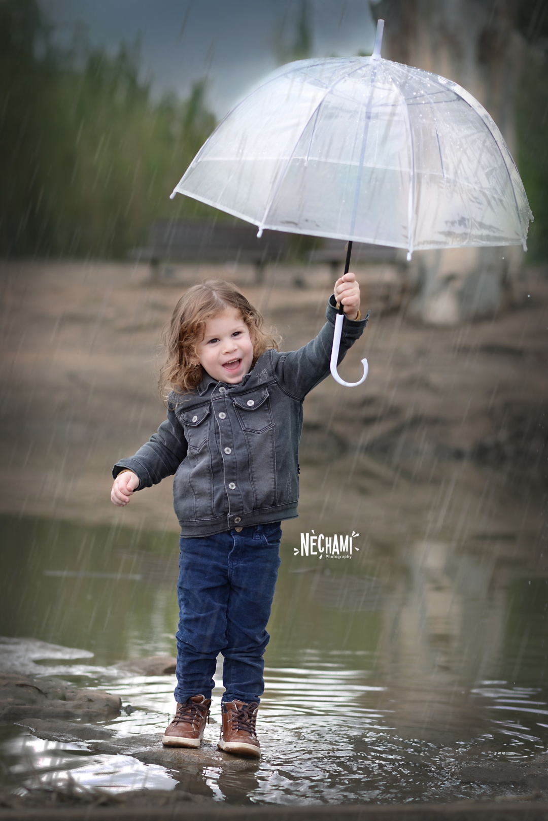 לפרוג (1) (Large).jpg