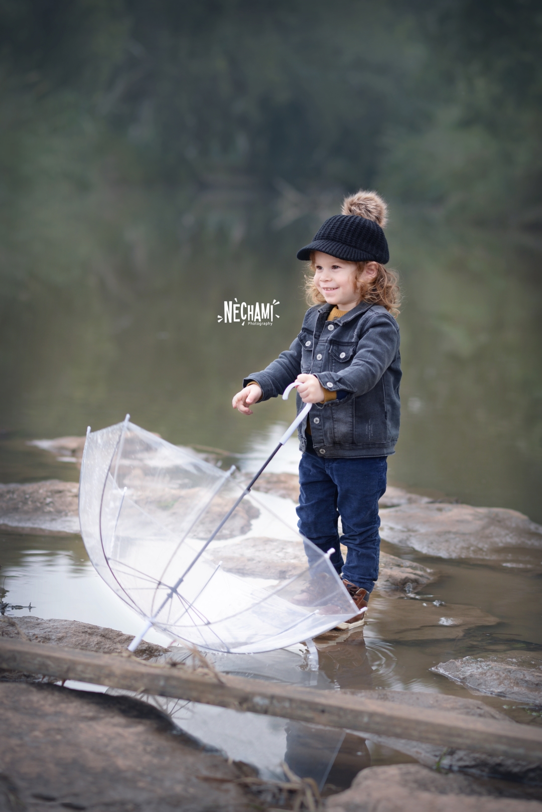 לפרוג (2) (Large).jpg