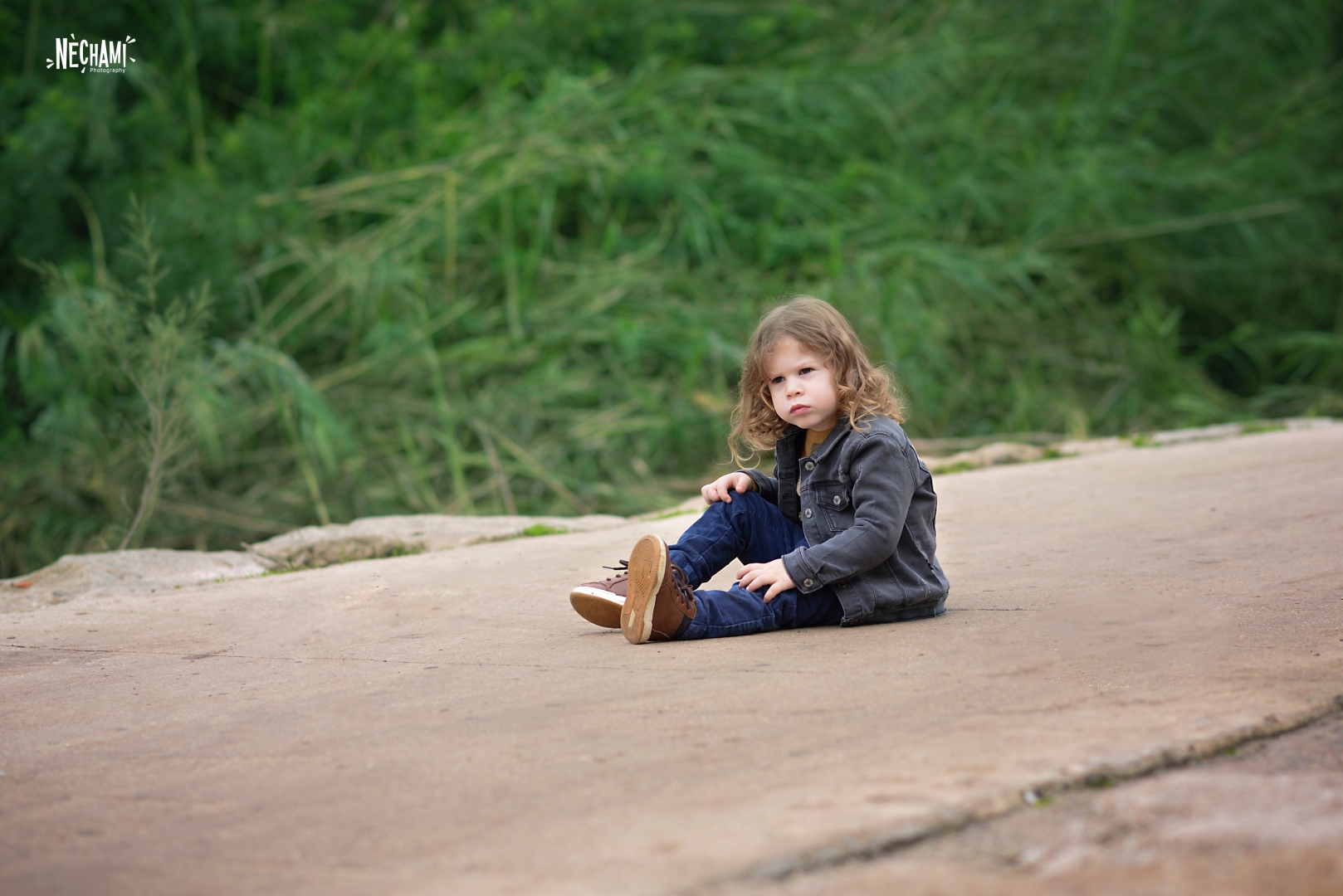 לפרוג (3) (Large).jpg