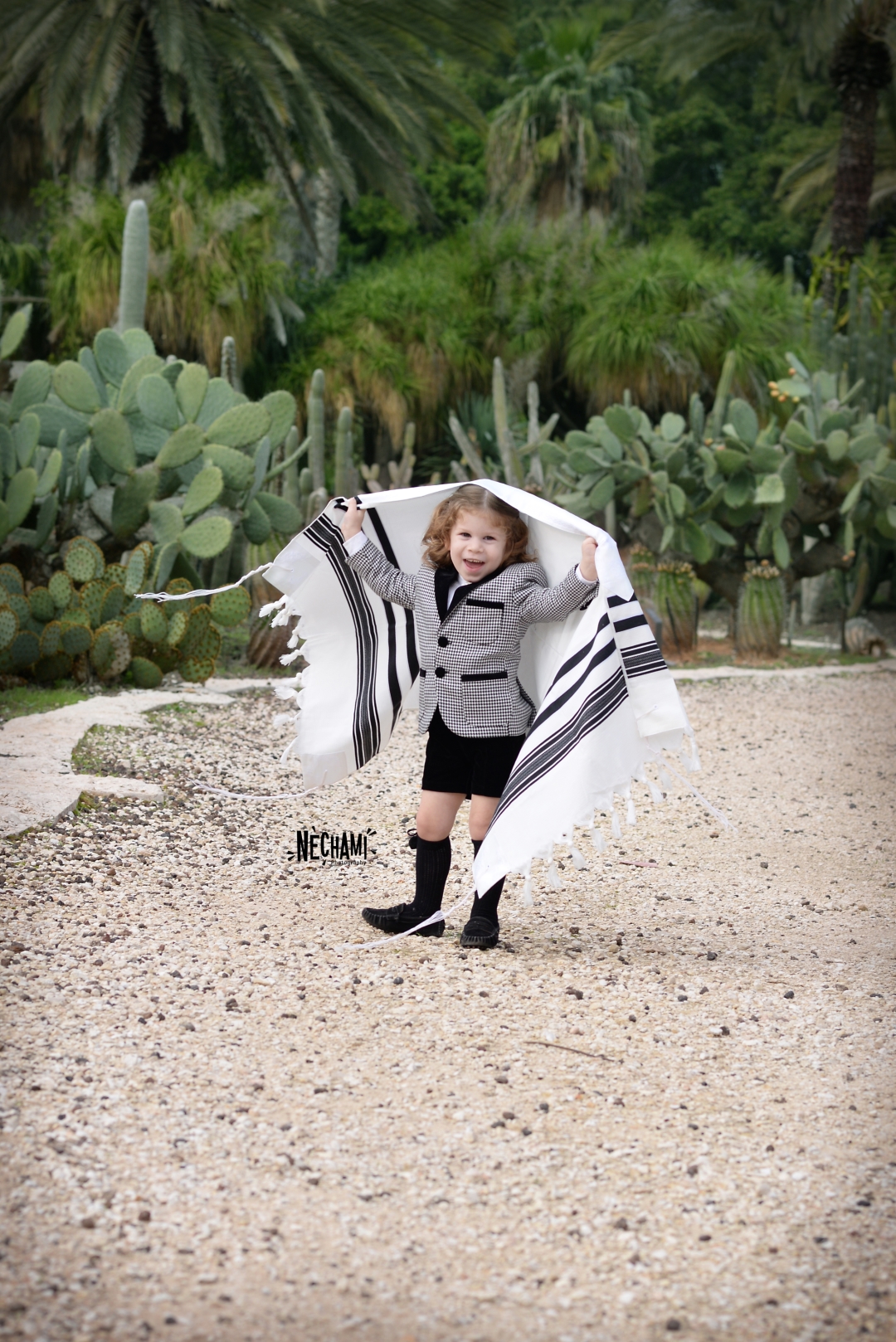 לפרוג (6) (Large).jpg