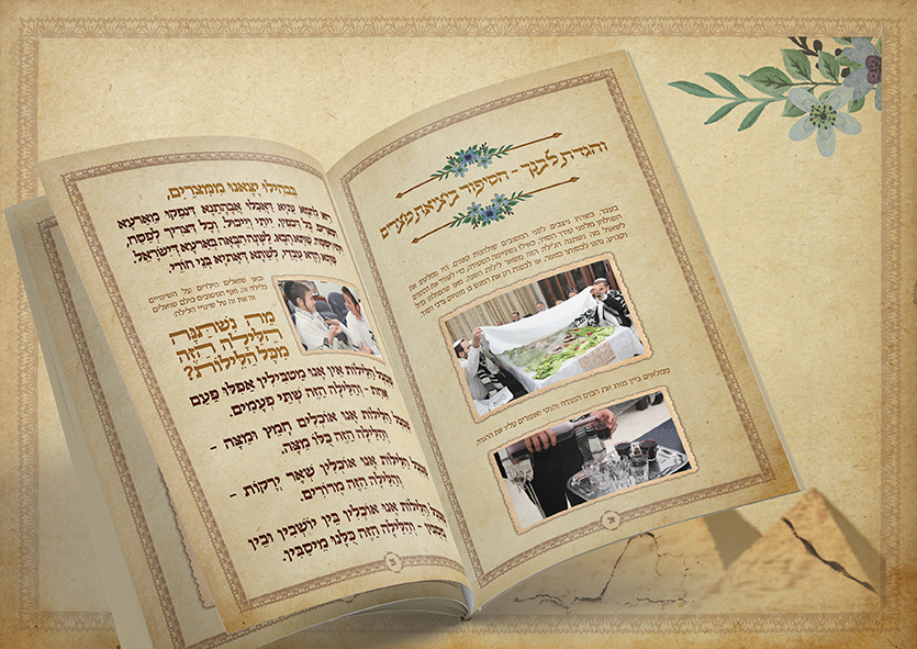 לפרוג2 - עותק.jpg