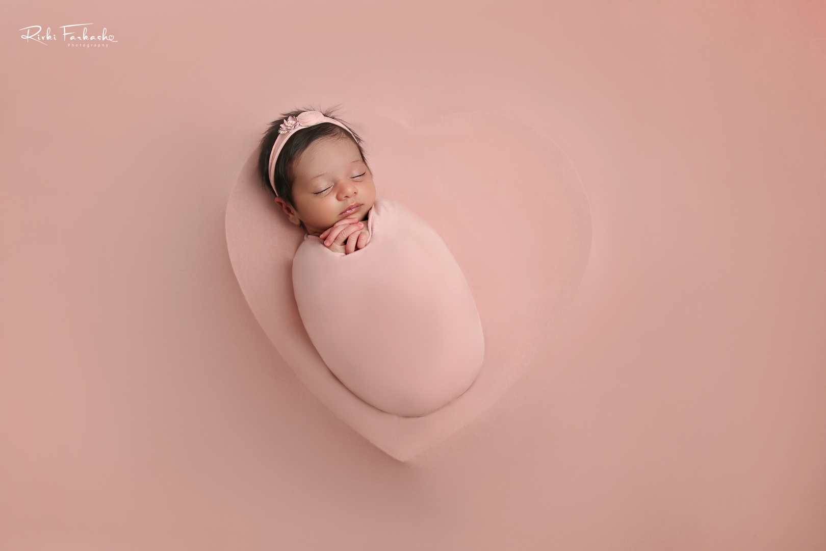 לפרוג2 (Large).jpg