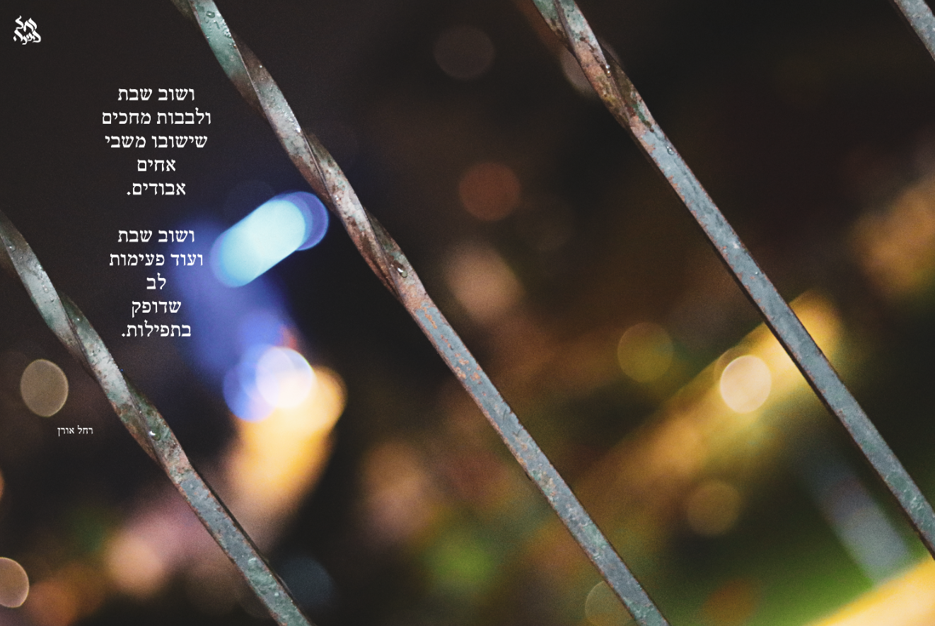 לשוב מהשבי. ר.אורן.png