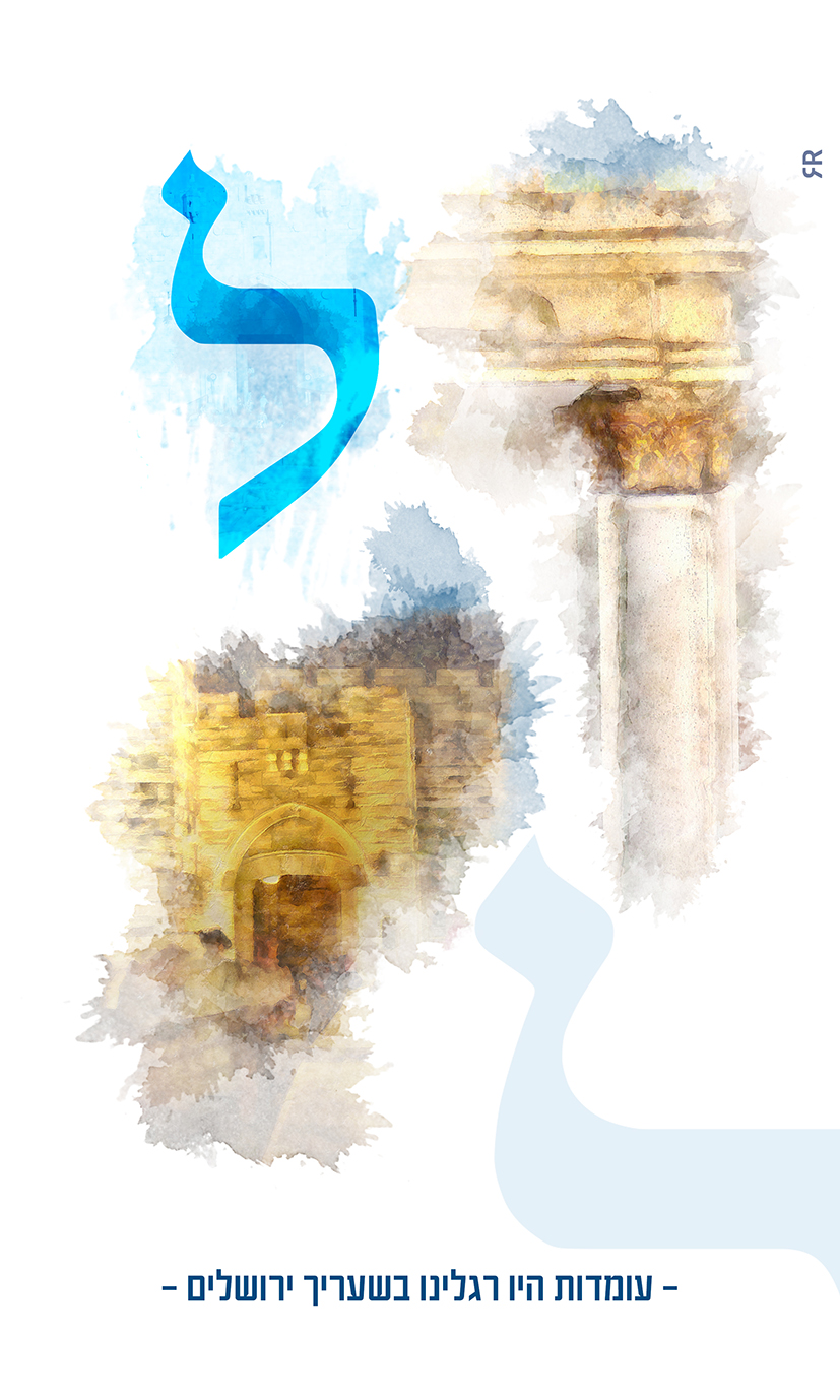 ל MeirRoshDesign.jpg