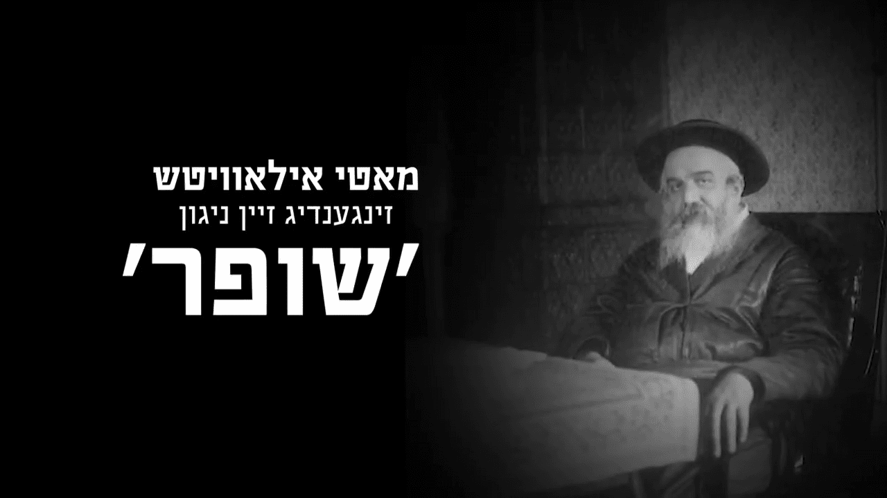 מאטי אילאוויטש וילד הפלא דוד לייפער - שופר Live.png