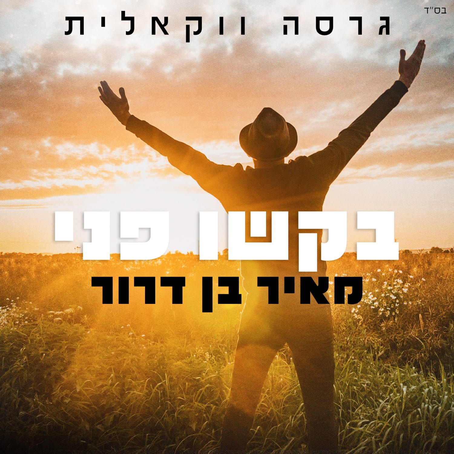 מאיר בן דרור - בקשו פני - ווקאלי.jpg