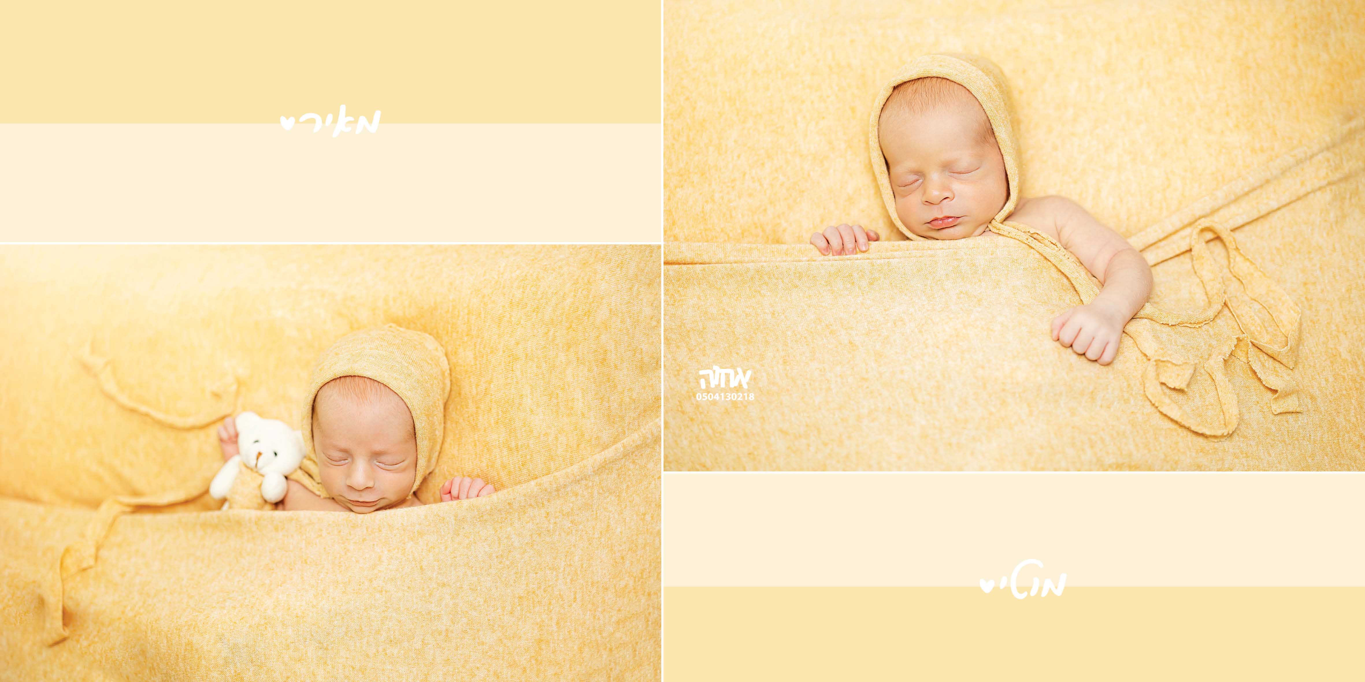 מאיר ומוטי גלבך.jpg